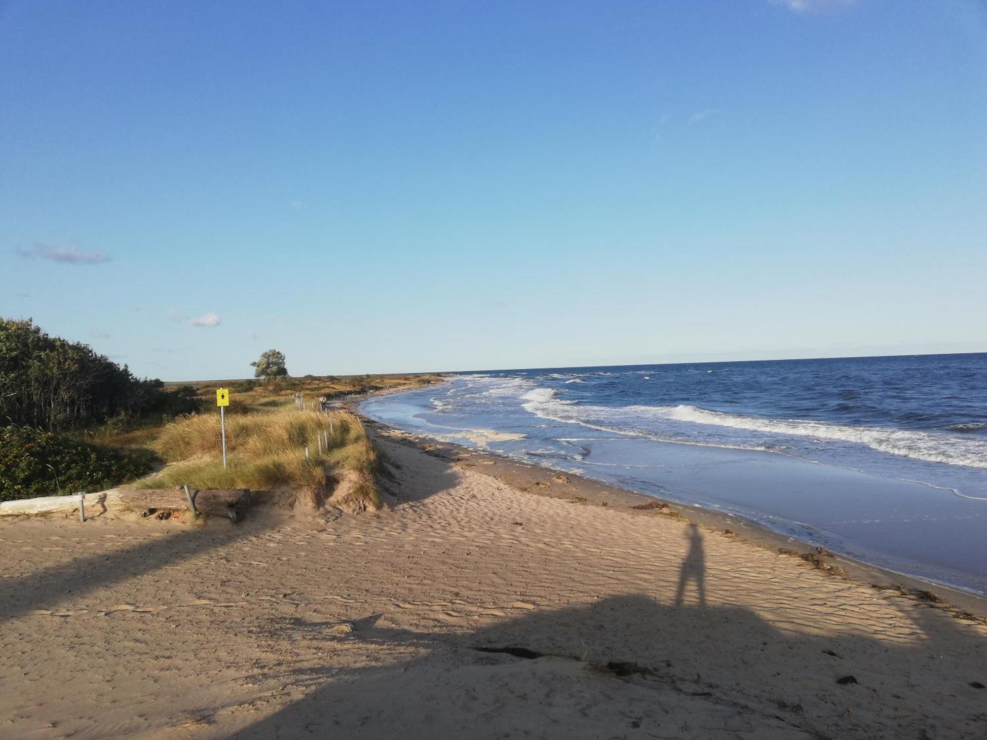 Strandloewe Kuehlungsborn Ostsee Eksteriør bilde